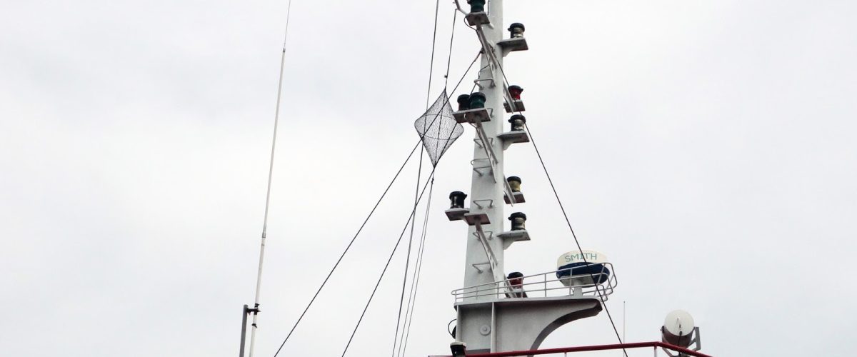 Mast 1 1200x500