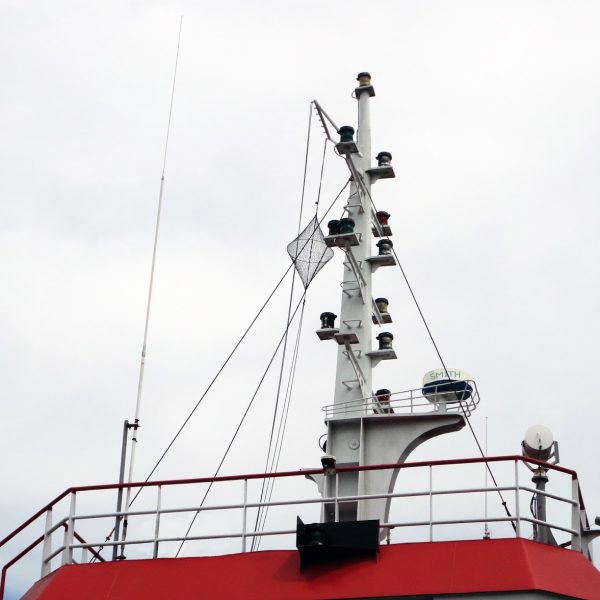 Mast 1 600x600