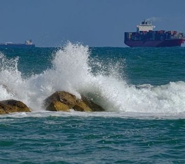 Xmt0gx8b7nyfjqu 360x320